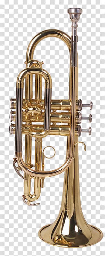 Musical Instruments Brass Instruments Trumpet Wind instrument, musical instruments transparent background PNG clipart