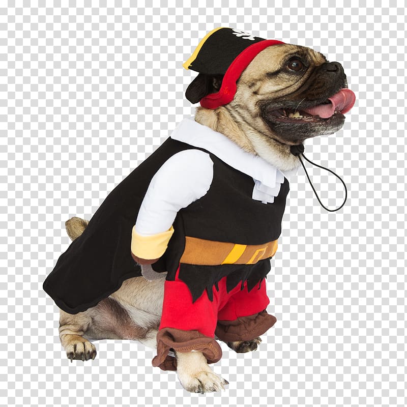 Dog breed Costume Pug Pet Clothing, a dog with a hat transparent background PNG clipart
