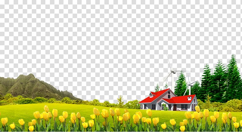 bed of yellow tulips near house with wind turbines painting, Google Computer file, Hill House Tulip Free to pull the material transparent background PNG clipart