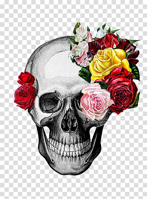 Rose Drawing Skull Art, rose transparent background PNG clipart