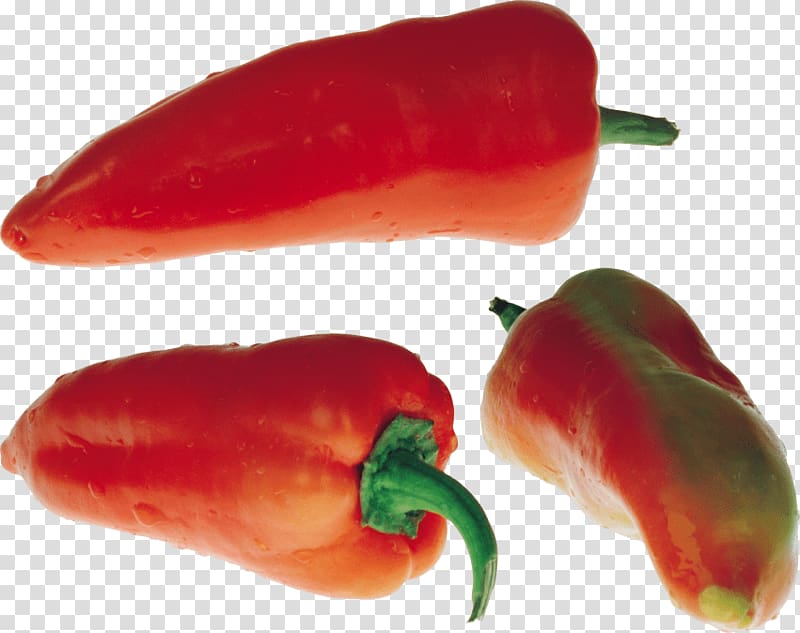 Portable Network Graphics Chili pepper Jalapeño Computer file, chili transparent background PNG clipart