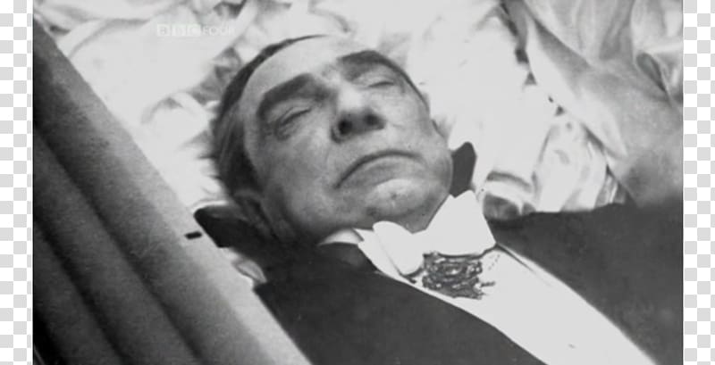 Bela Lugosi Count Dracula YouTube Horror, Bela Lugosi transparent background PNG clipart