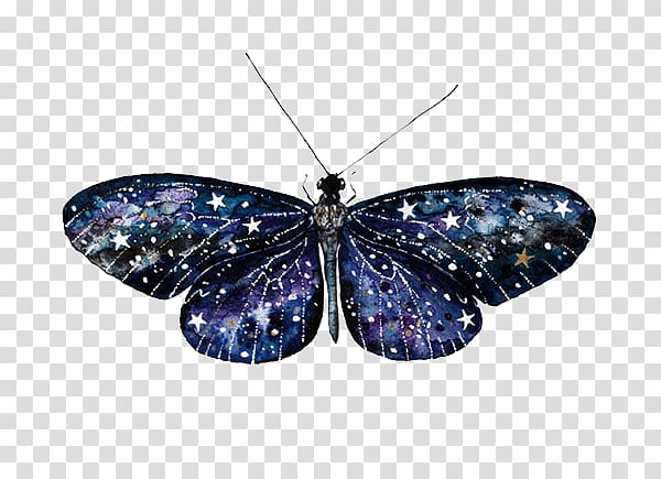 Artist Painting Drawing Illustration, Sky star animal butterfly transparent background PNG clipart