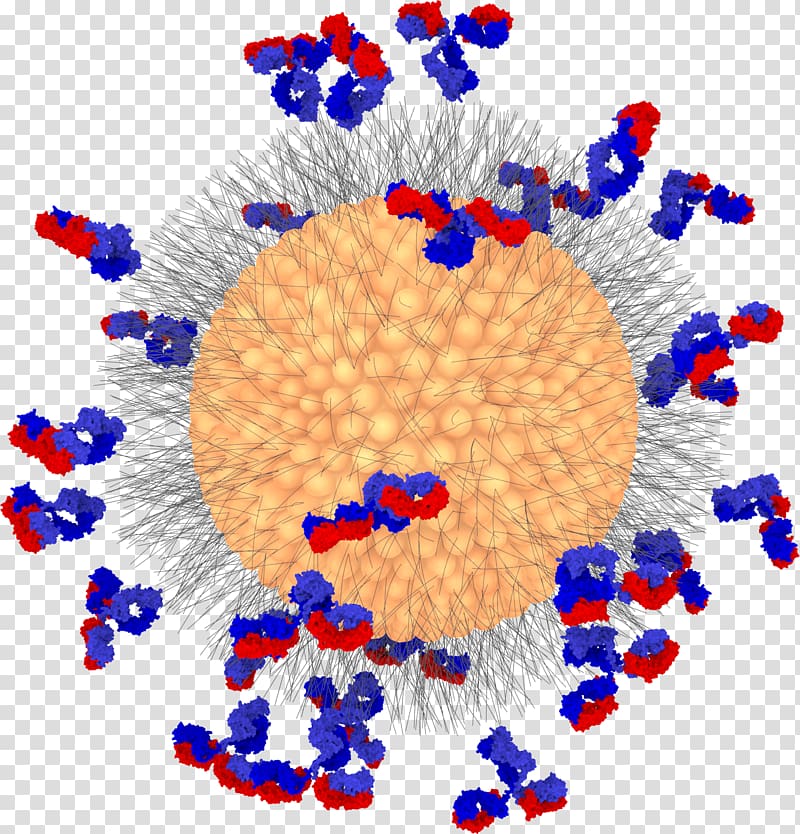 Liposome Nanoparticle Drug ization Icosphere Antibody, Cience transparent background PNG clipart