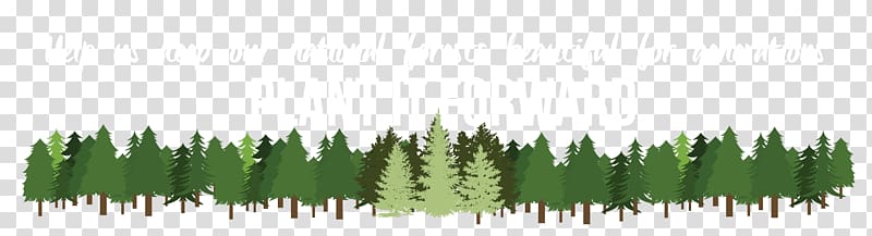 Tree Pine Plant Forest Arborist, tree forest transparent background PNG clipart