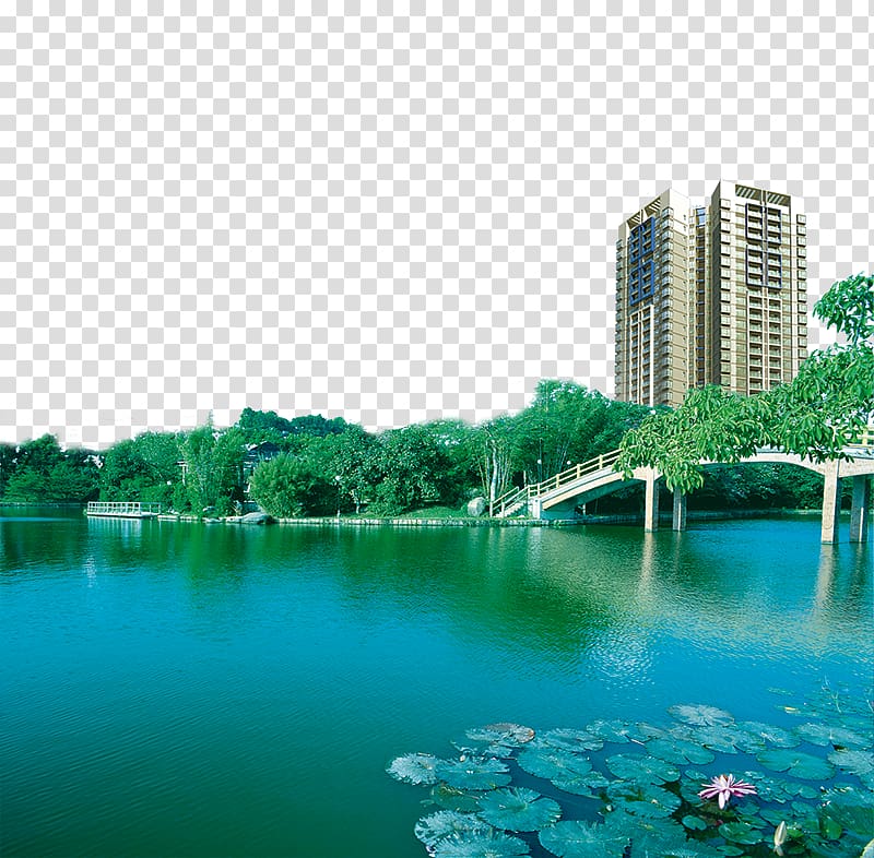 Chaohu Dalian Zhuhai Ningxiang Hefei, Green Lake Real Estate transparent background PNG clipart