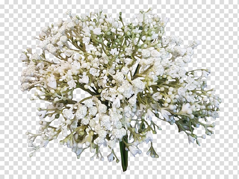 white baby's breath bouquet, Flower bouquet Baby\'s-breath Cut flowers, baby breath transparent background PNG clipart