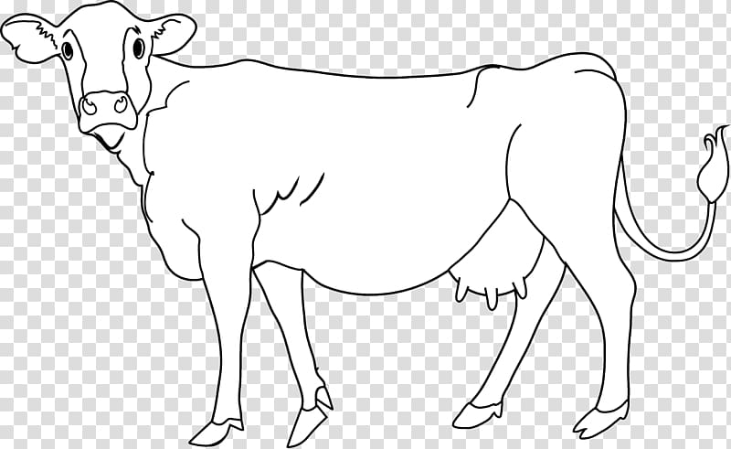 calf black and white clipart