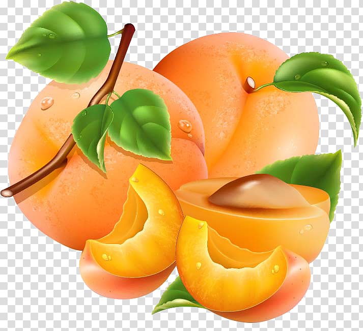 Apricot Auglis Peach Orange Vegetable, Apricots pattern transparent background PNG clipart