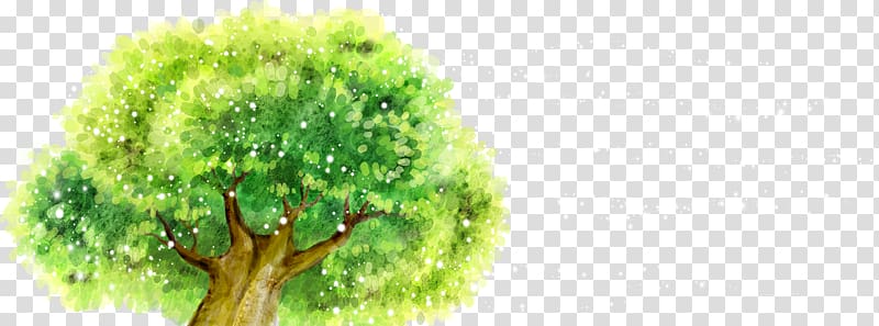 Cartoon Illustration, Tree crown transparent background PNG clipart
