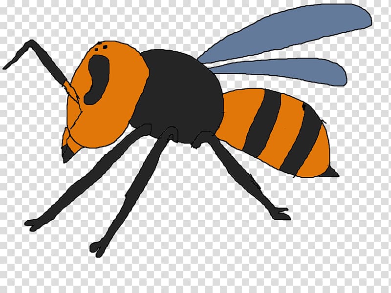 Insect Honey bee Animal Arthropod, sparrow transparent background PNG clipart