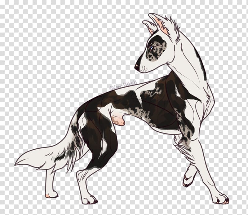 Dog breed Lurcher Border Collie Drawing, border collie transparent background PNG clipart