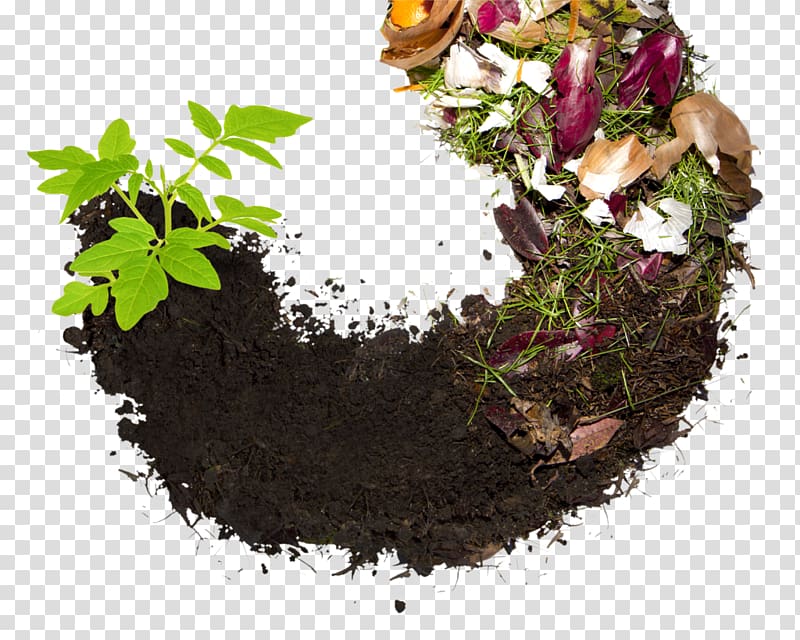 Compost Biodegradable waste Food waste Recycling, heap of vegetables transparent background PNG clipart