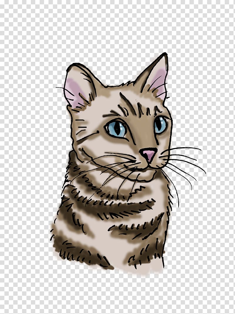 Toyger Bengal cat Whiskers Tabby cat Domestic short-haired cat, kitten transparent background PNG clipart