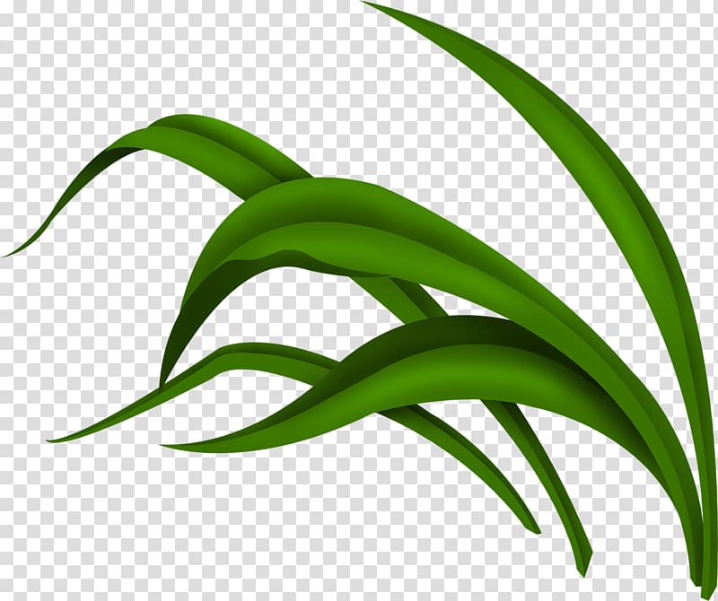 Green , Green grass transparent background PNG clipart