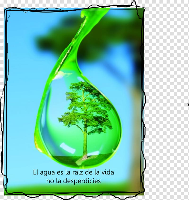 Drew Drop and the Water Cycle Drew Drop and the Water Cycle Tree Dew, water transparent background PNG clipart