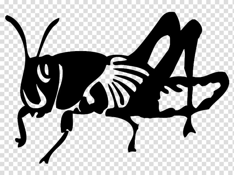 Insect Black locust Silhouette Public Relations, insect transparent background PNG clipart