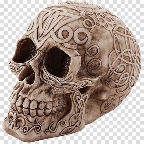 Skull Human skeleton Figurine Horn, skull transparent background PNG clipart