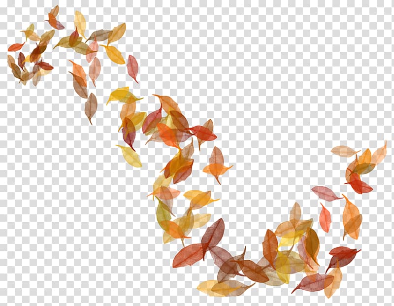 brown leaf illustration, Autumn leaf color, Fall Leaves transparent background PNG clipart