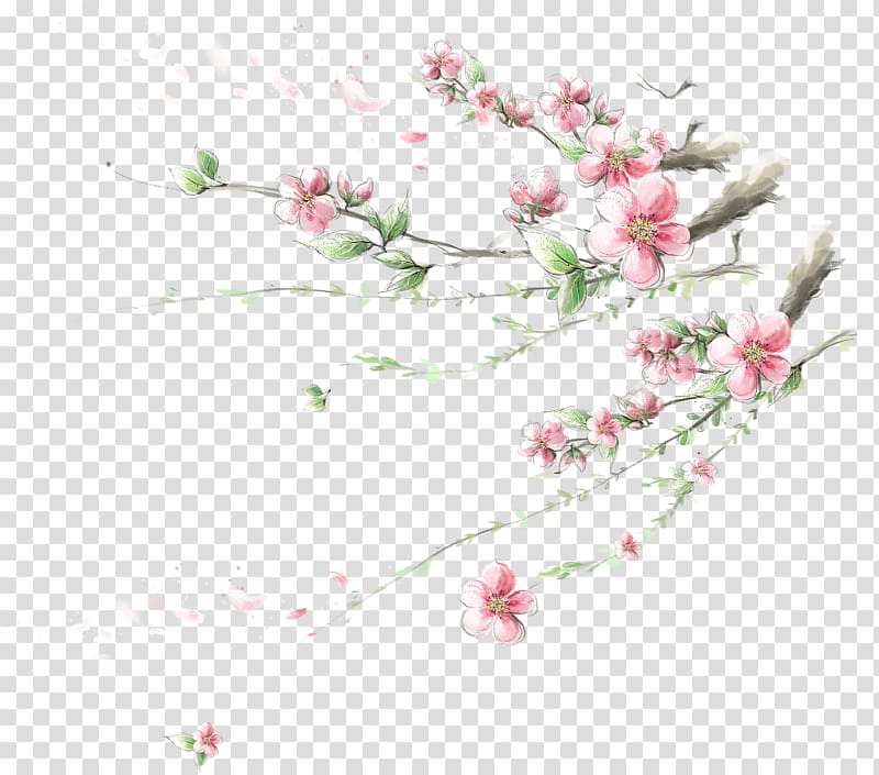 Flower Cherry blossom Apple , Plum flower transparent background PNG clipart