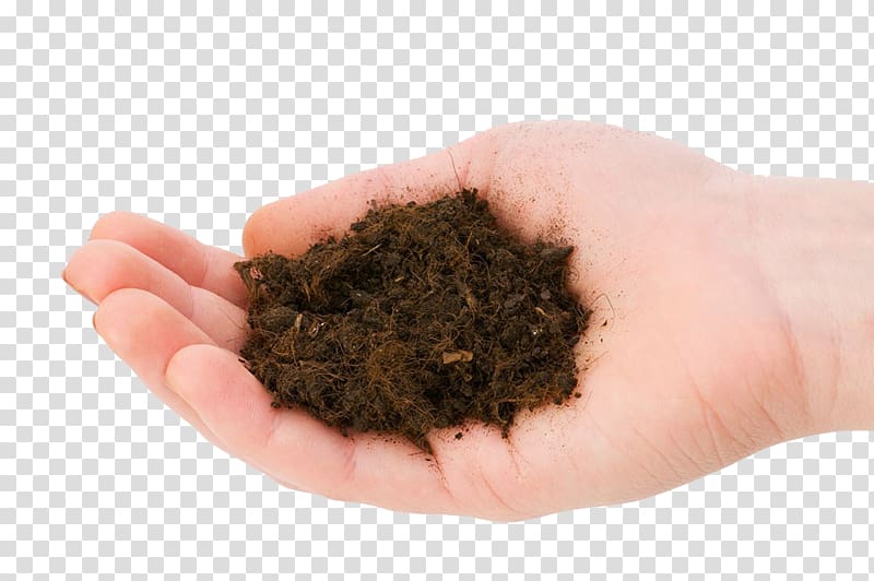 Soil , The heart of the soil transparent background PNG clipart