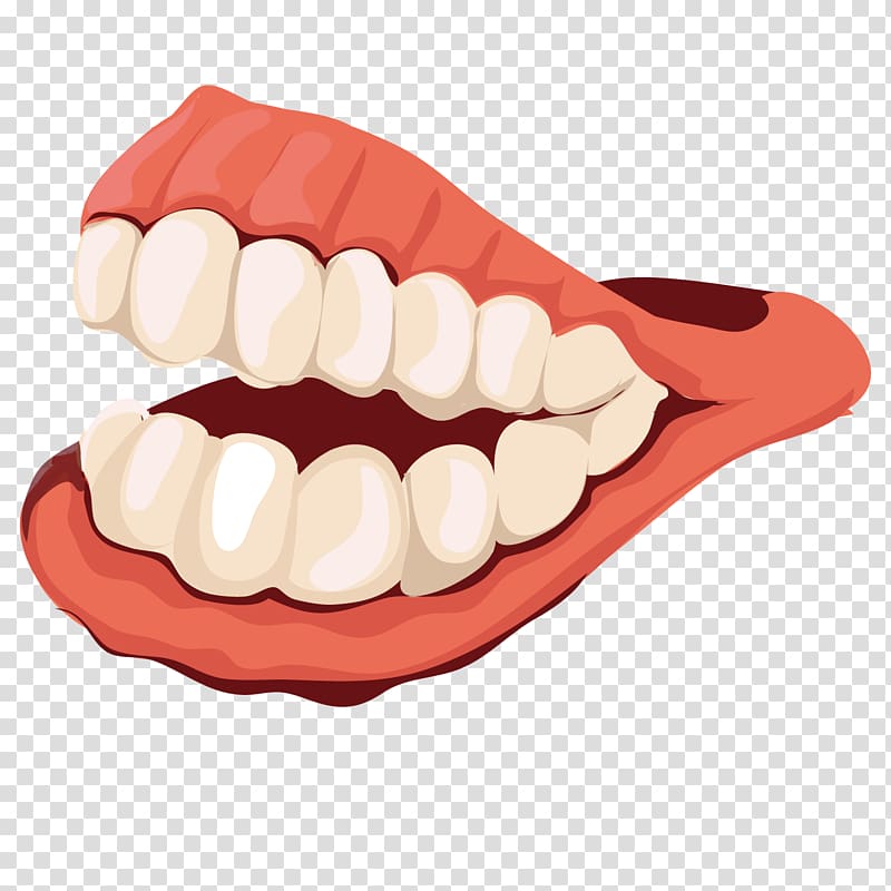 Tooth Dentistry Gums, oral teeth transparent background PNG clipart