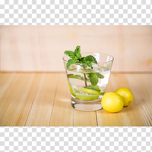 Mojito Limeade Cocktail garnish Mint julep Spritzer, mojito transparent background PNG clipart