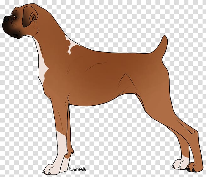 Boxer Dog breed Amazon.com Mat Schnauzer, Dog angry transparent background PNG clipart