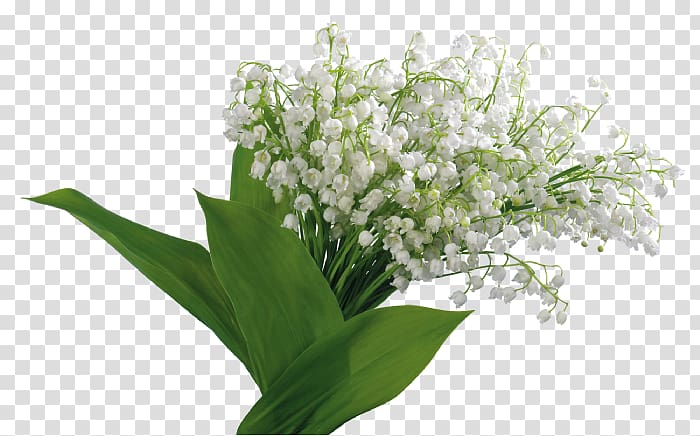Цветы Landishi Lily of the valley , lily of the valley transparent background PNG clipart