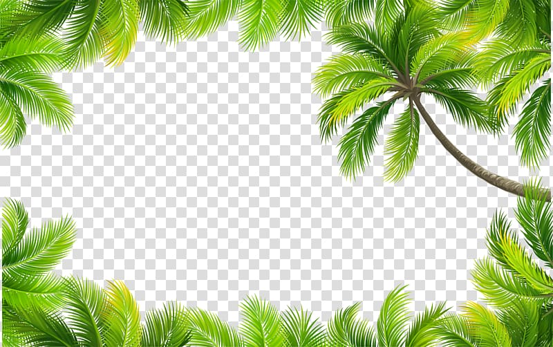 coconut trees frame layout, Euclidean Color, painted green leaves border transparent background PNG clipart
