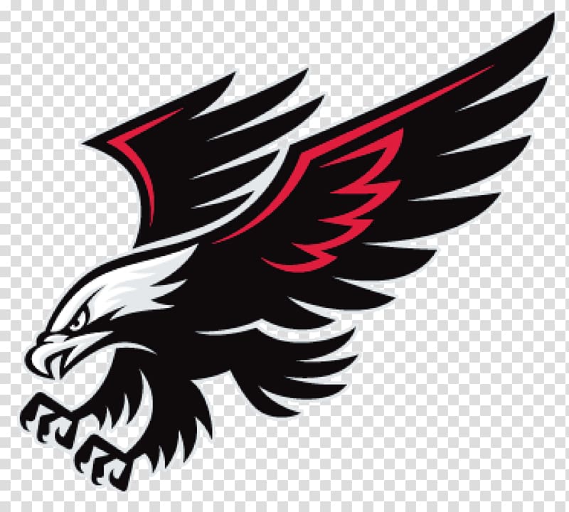 black and red eagle , Williams Field High School Grafton School District Waltham High School National Secondary School, Hawk transparent background PNG clipart