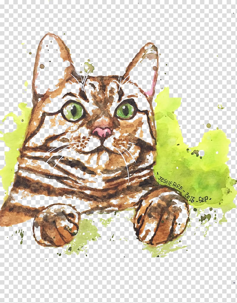 Tabby cat Kitten Watercolor painting Illustration, Yellow cat transparent background PNG clipart