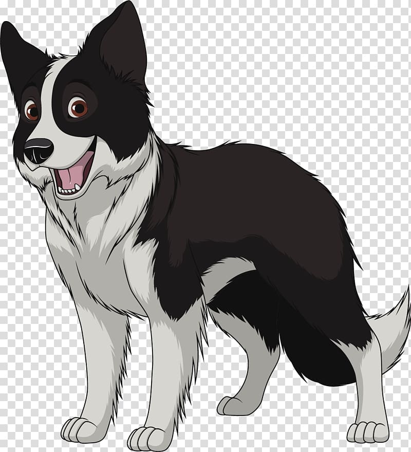 Border Collie Poppys Paws Rough Collie Breed, others transparent background PNG clipart