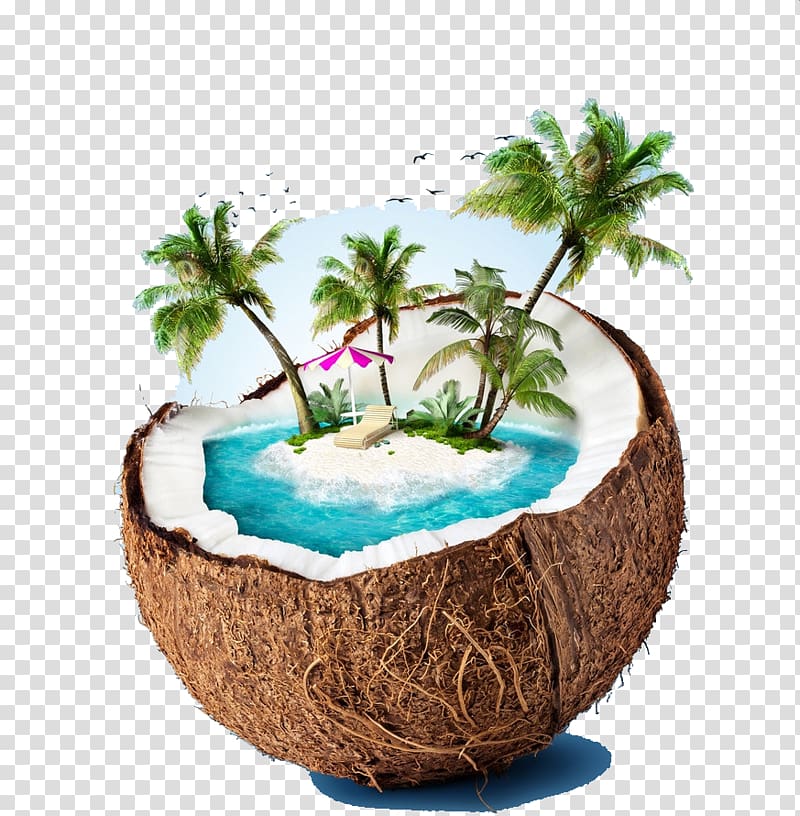 Free download | Beach inside coconut shell illustration, Siargao ...