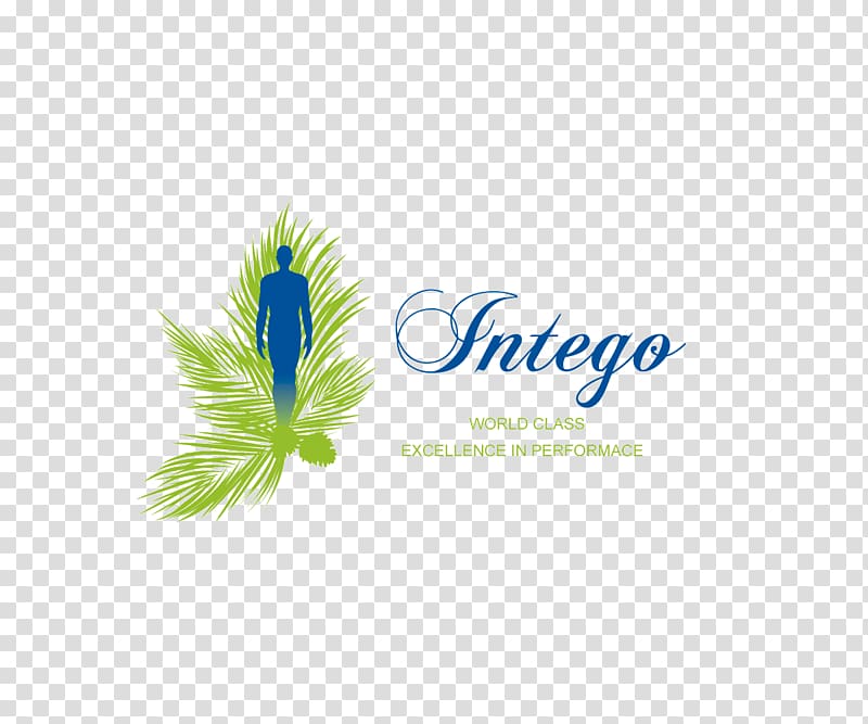 Logo Font Green Poster Desktop , pine needles transparent background PNG clipart