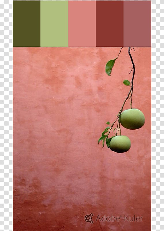 Coral Color Green Peach Turquoise, peach transparent background PNG clipart