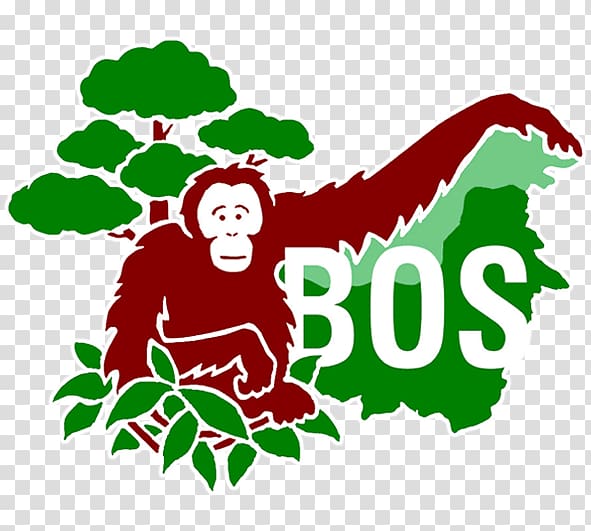 Central Kalimantan Bornean orangutan Samboja Lestari Primate Borneo Orangutan Survival, orangutan transparent background PNG clipart