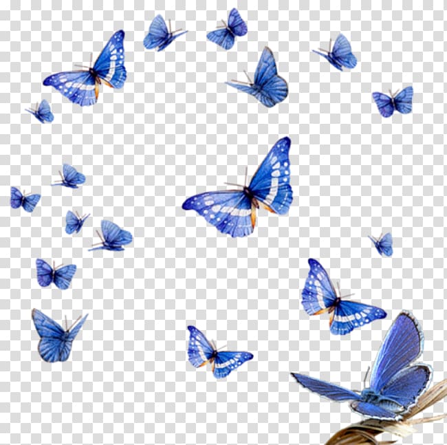 Butterfly , mall decoration transparent background PNG clipart