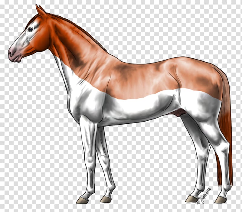 Arabian horse Foal Mustang Pony Stallion, strawberry splash transparent background PNG clipart