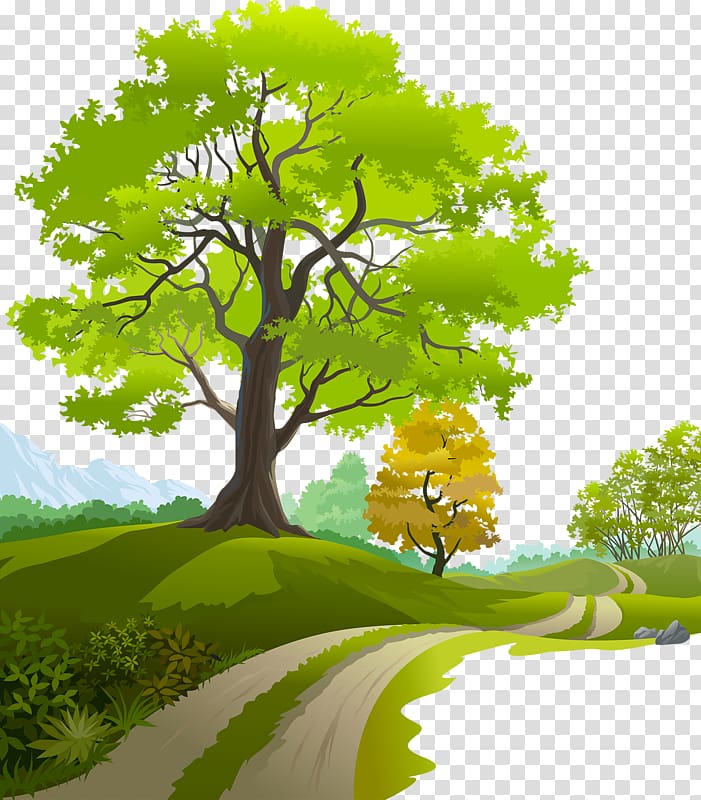 large tree near pathway illustration, Tree Branch , Trees and green grass transparent background PNG clipart