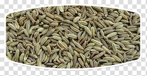 Fennel Seed Oil Food Spice, oil transparent background PNG clipart
