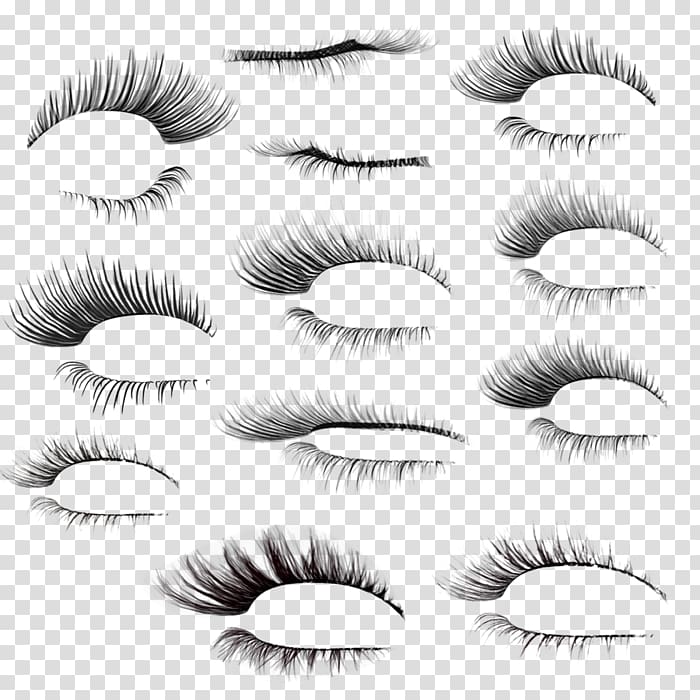 Eyelash extensions Portable Network Graphics Eyebrow Beauty, eyelash illustration transparent background PNG clipart