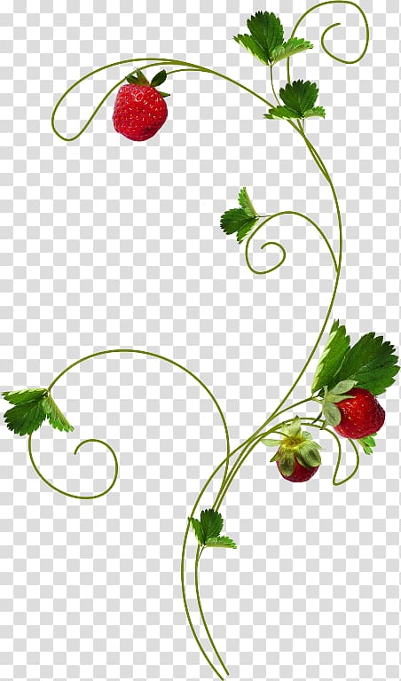 Strawberry , 绿色 transparent background PNG clipart