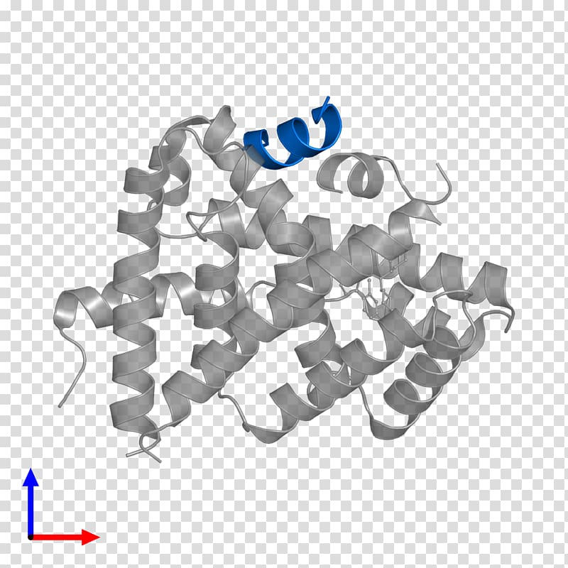 Farnesoid X receptor Brand Pregnane X receptor Liver X receptor, line transparent background PNG clipart