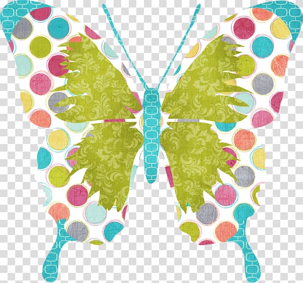 Butterfly Moth , A butterfly transparent background PNG clipart