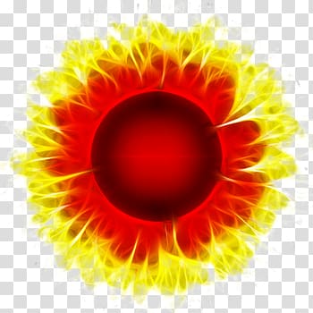 red sunflowers transparent background PNG clipart