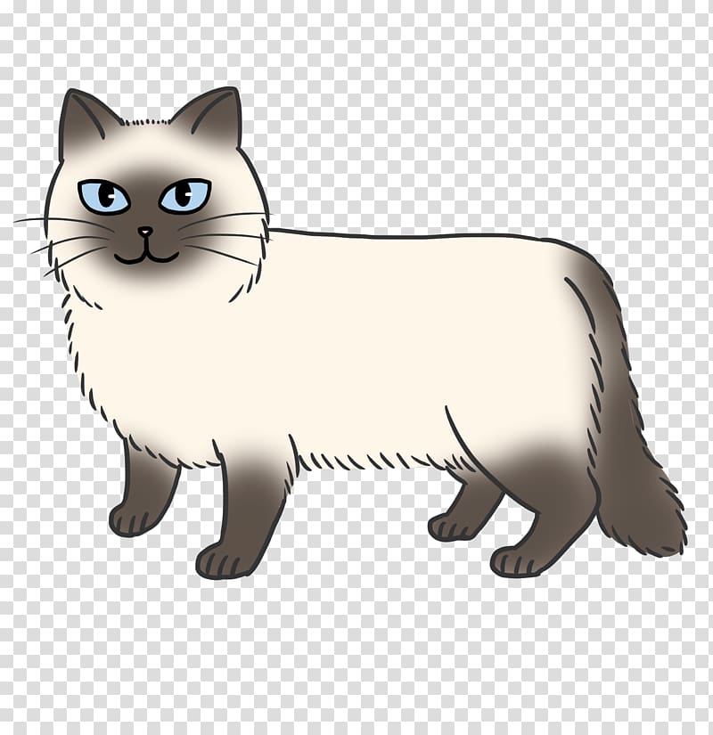 Manx cat Whiskers Himalayan cat Kitten Domestic short-haired cat, kitten transparent background PNG clipart