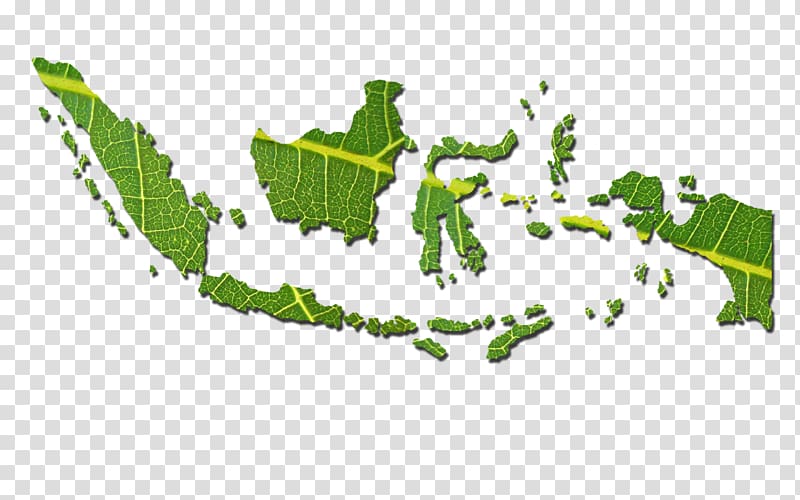 Bali World map Atlas, world map transparent background PNG clipart