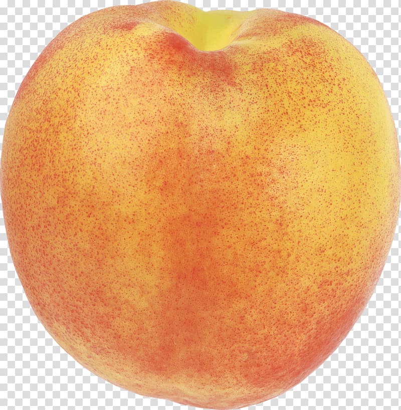 Nectarine Saturn Peach Fruit, Peach transparent background PNG clipart