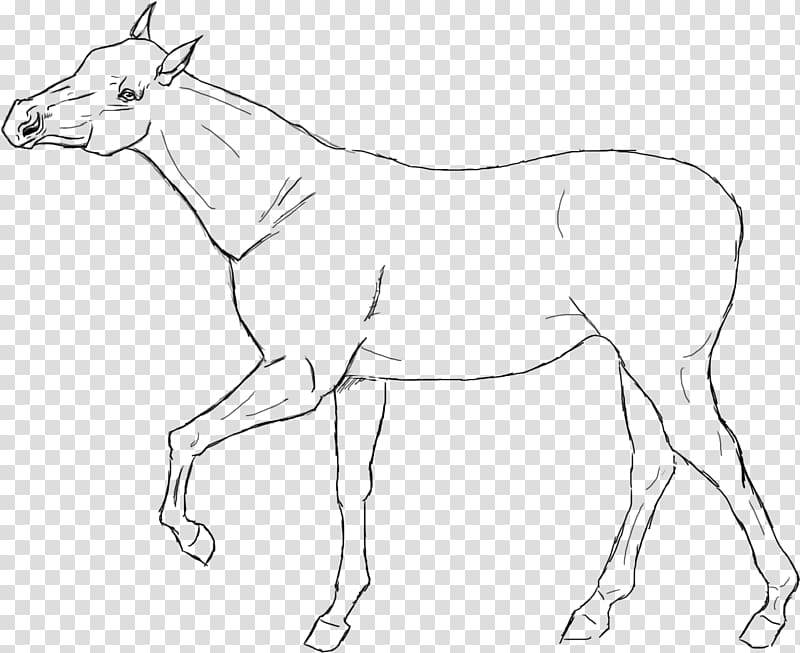 Line art American Quarter Horse Racking horse Drawing, Lineart transparent background PNG clipart